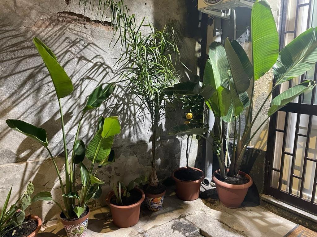 카타니아 Conny'S House 아파트 외부 사진